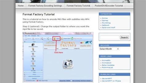format factory tutorial 的图像结果