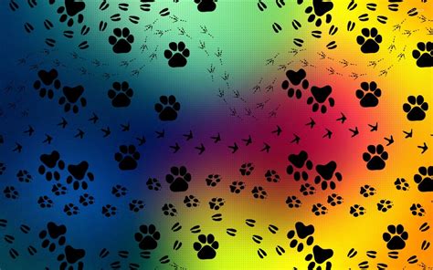 Paw Print Wallpapers - Top Free Paw Print Backgrounds - WallpaperAccess