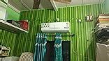 Univocean Green Bamboo Home Wallpaper, Self Adhesive Wall Decor PVC ...
