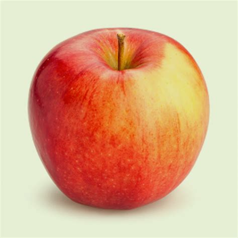 Image result for Apple System.Data