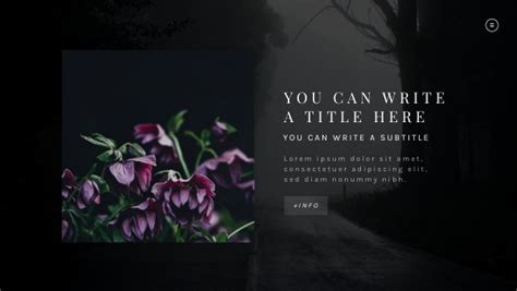 Image result for Shadow Introduction