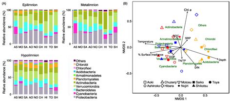 Linking Stoichiometric Organic Carbon–Nitrogen Relationships to ...