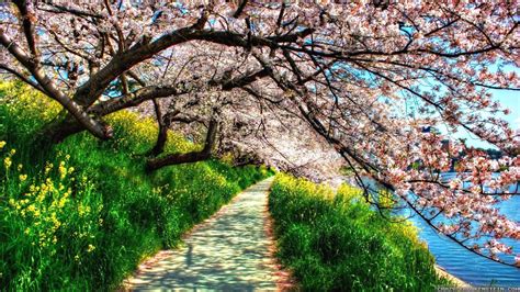 Spring Scenery HD Desktop Wallpapers - Top Free Spring Scenery HD ...