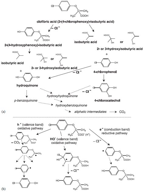 Nanomaterials for the Abatement of Pharmaceuticals and Personal Care ...