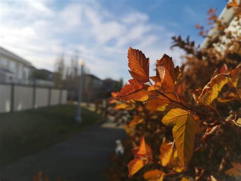 Vinnie Smith - 写真