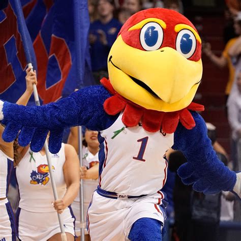 Jayhawk Mascot History