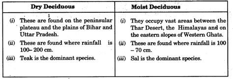 Natural Vegetation and Wild Life Class 9 Important Questions Social ...