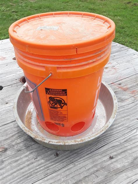 How To Make A Chicken Feeder Out Of A 5 Gallon Bucket at Tammy Pough blog