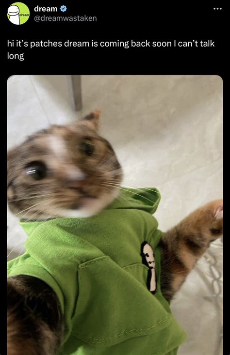 Twitter Cute 的图像结果