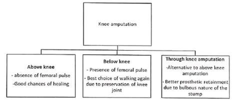 Peripheral Arterial Disorders - Medical Science Optional Notes for UPSC ...