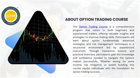 Option Trading Lessons 的图像结果