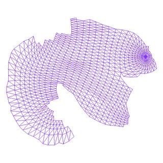 Image result for Model Texturing