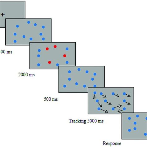 Multiple Object Tracking Task fMRI 的图像结果
