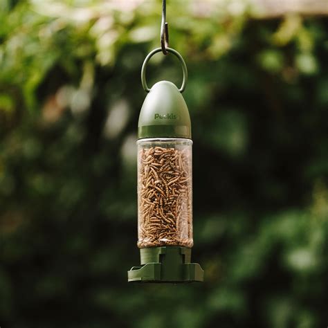 Peckish Mealworms Filled Feeder - Wild Bird Feeders – Peckish UK