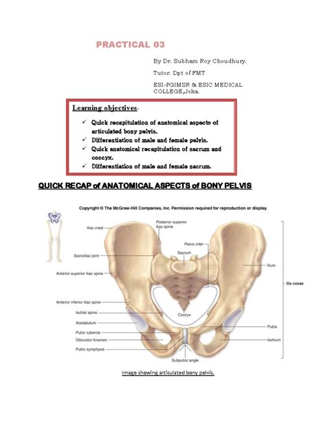 Pelvis and sacrum - PRACTICAL 03 By Dr. Subham Roy Choudhury. Tutor ...
