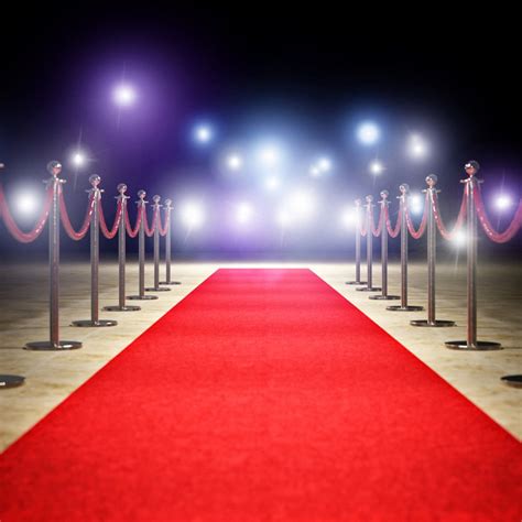 Buy Red Carpet Runner for Wedding, Party, Special Event, Runway Rug ...