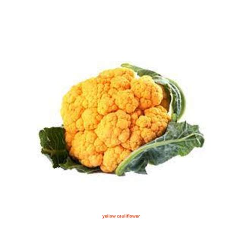 Cauliflower Yellow Seeds – Urja Seeds