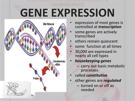 Image result for Simple Gene Expression