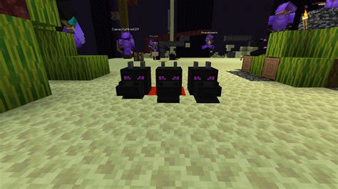 Joignable SMP Java 的图像结果