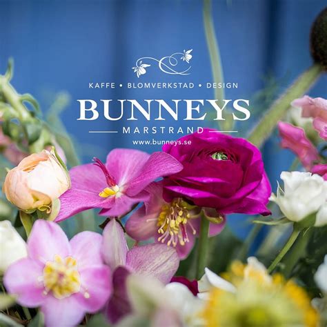 BUNNEYS (2025) All You Need to Know BEFORE You Go (with Photos ...