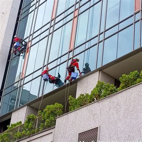 Image result for Window Cleaning Methods