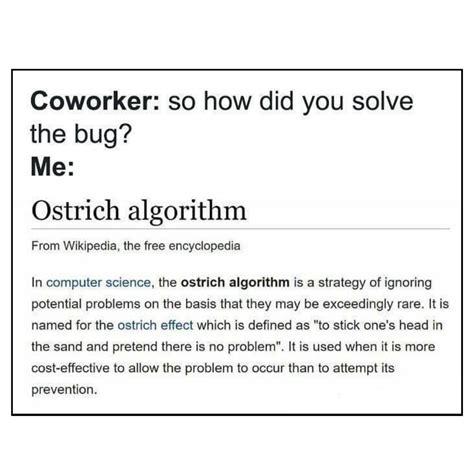 Image result for Algorithm Meme