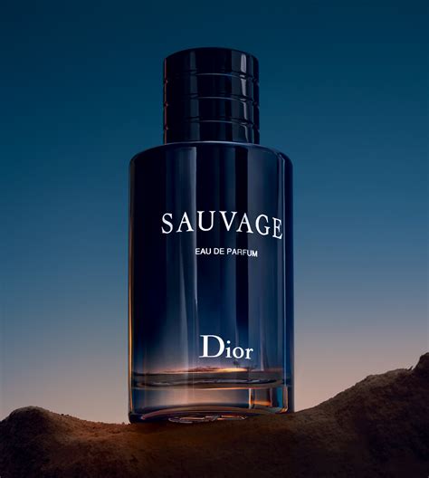 Sauvage Eau de Parfum Christian Dior 古龙水 - 一款 2018年 男用 香水