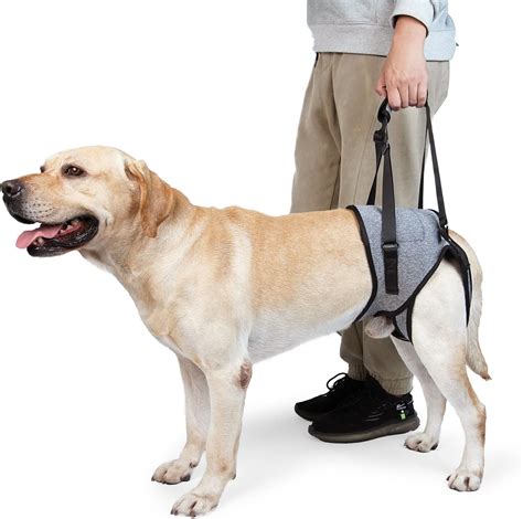 Amazon.com : Dotoner Dog Sling for Large Dogs Hind Leg Support to Help ...