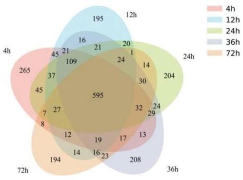 Characterizing the Fermentation of Oat Grass (Avena sativa L.) in the ...
