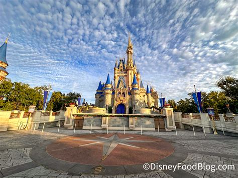 I Was a Disney World Cast Member. Here Are 7 of My Biggest REGRETS ...