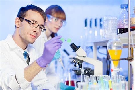 生物工程哪个大学最好？揭秘生物工程专业大学最新排名