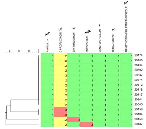 Characterization and Antibiotic Resistance of Listeria monocytogenes ...
