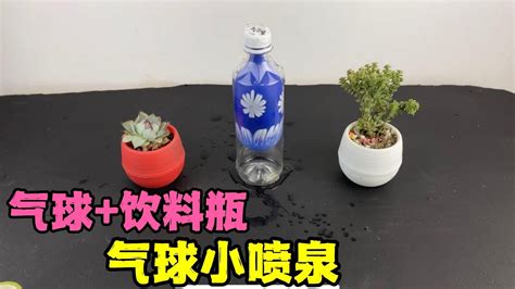 阳台种的菜可以用矿泉水瓶自制自动浇水装置，五一假期放心玩_种菜经验_泛米米博客