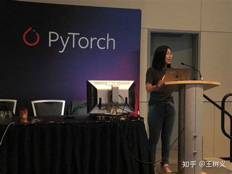 Pytorch 的图像结果