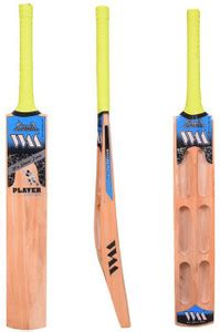 Willow master Player Edition Kashmir Willow Cricket Bat For 15+ Yrs ...