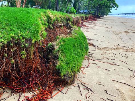 Image result for RTK Piling System