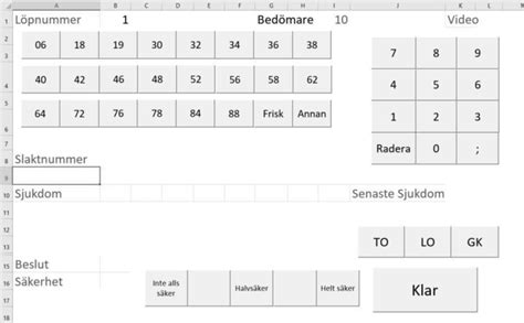 Image result for Excel Interactive Form