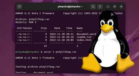 How to Extract a Rar File with Python 的图像结果