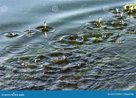 Water Splash after Black Oar in Green River Water Closeup Stock Photo ...