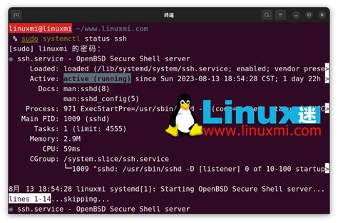 openssh 的图像结果