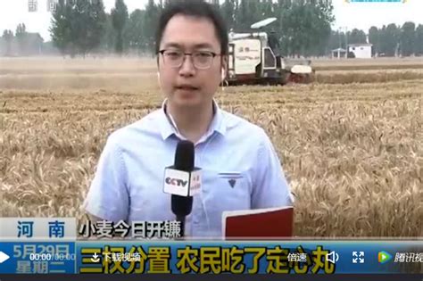 快来看！央视新闻频道现场直播邓州小麦收割！