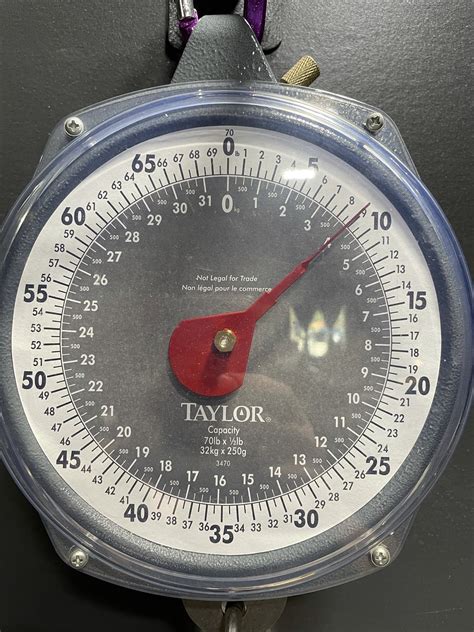 Image result for Alien Audio Bass