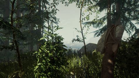 迷失森林下载 The Forest中文版电脑单机游戏百度云网盘 - 白熊资源网