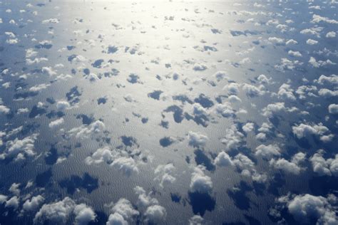 Icon Model 的图像结果