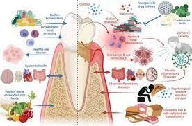 Consumption of dietary live microbes directly associated with improved ...