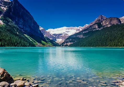 Image result for Table One Script