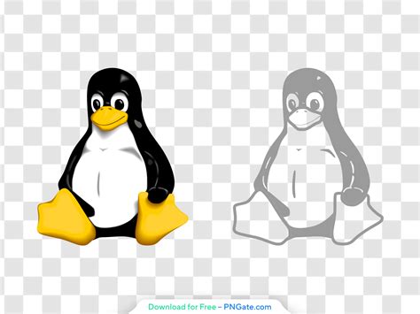 Image result for Linux Operating System Icon