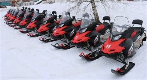 QUAD TEAM BUILDING Guide (2026) All You Need to Know BEFORE You Go ...