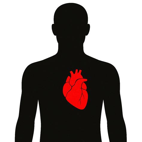 Apolipoprotein B Test | Ulta Lab Tests