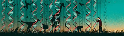 Image result for Evolutionary Biology Explained